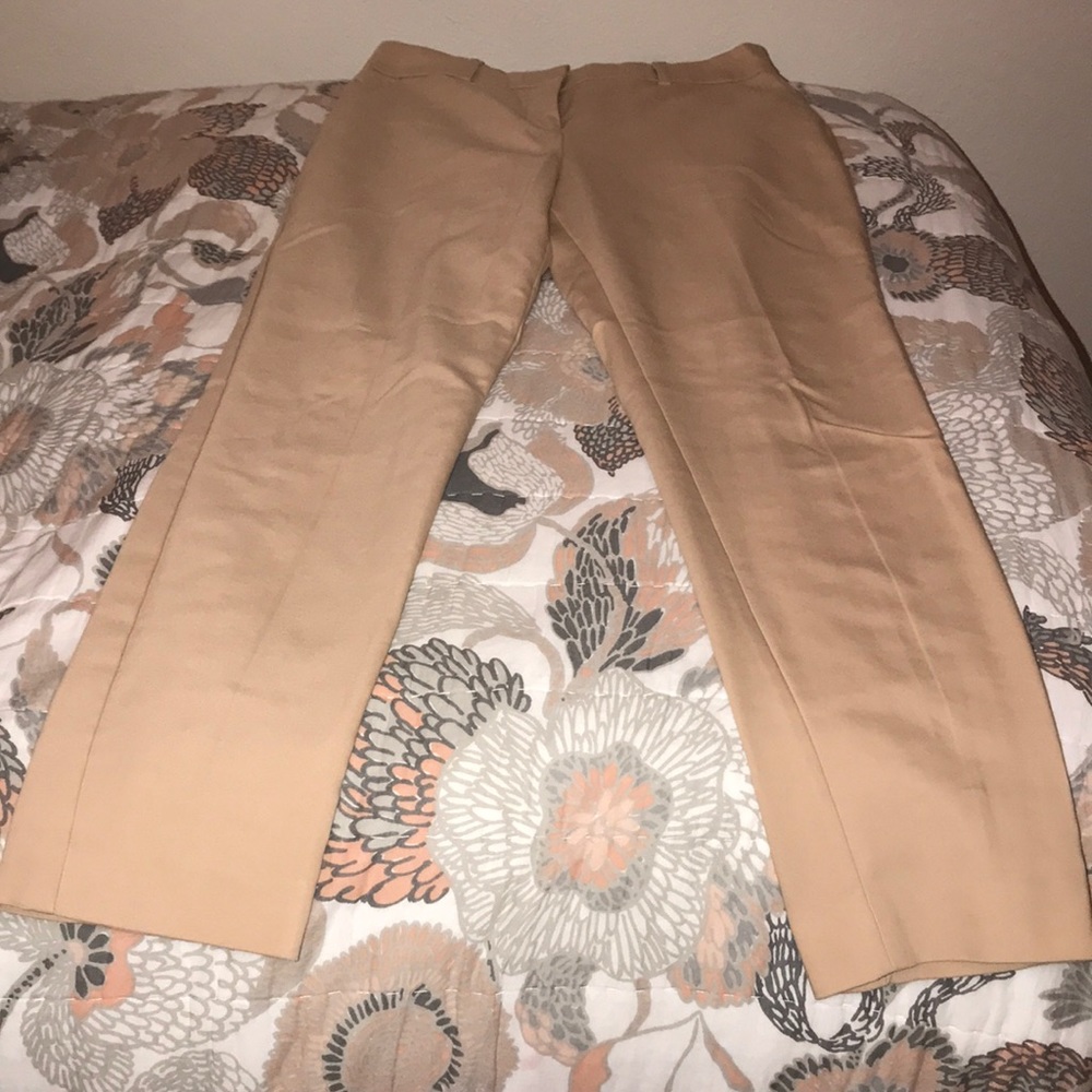 Express columnist dress pant